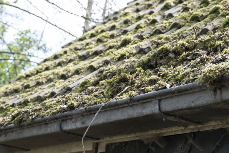 Roof Moss Removal