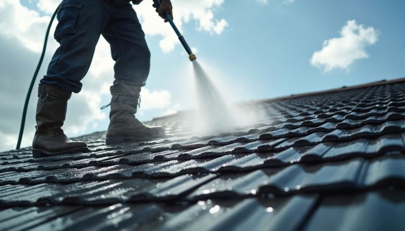 Metal Roof Cleaning
