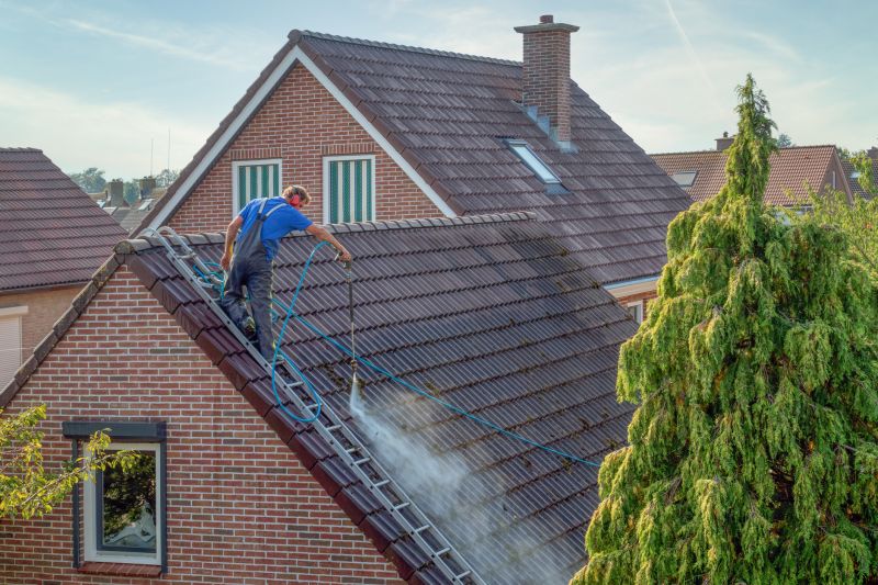 Clean and Protected Roof