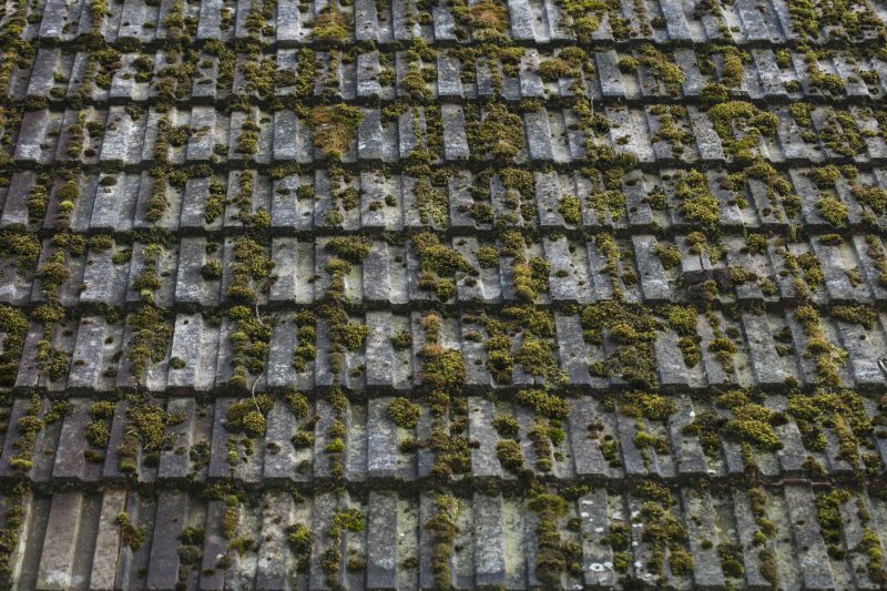 Roof Moss Removal