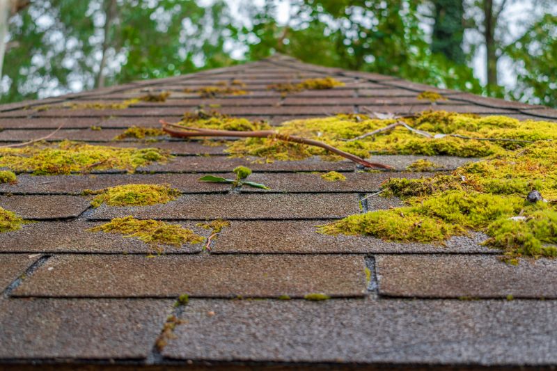 Roof Moss Removal
