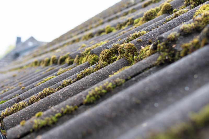 Roof Moss Removal