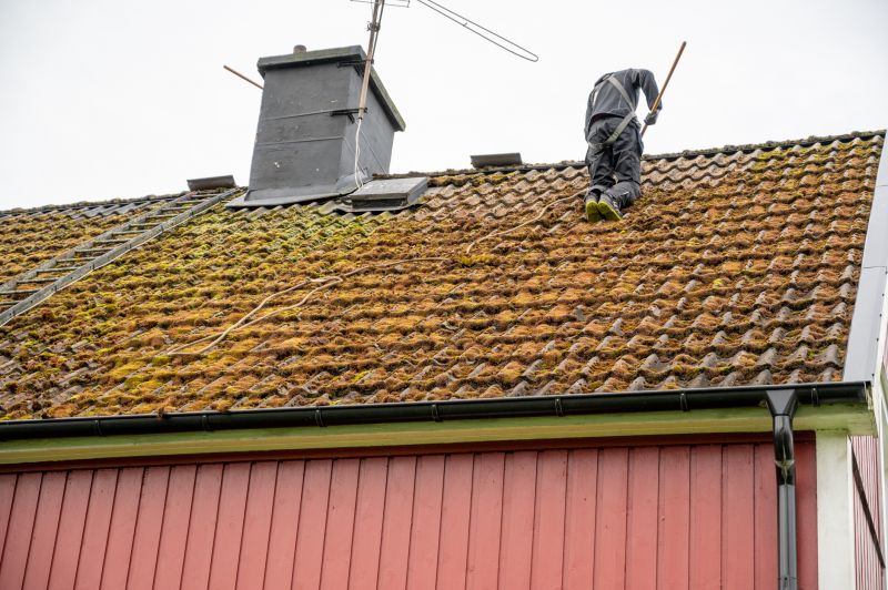 Roof Cleaning Process